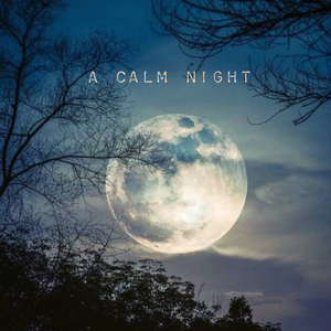 A Calm Night